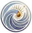 Vita Nova